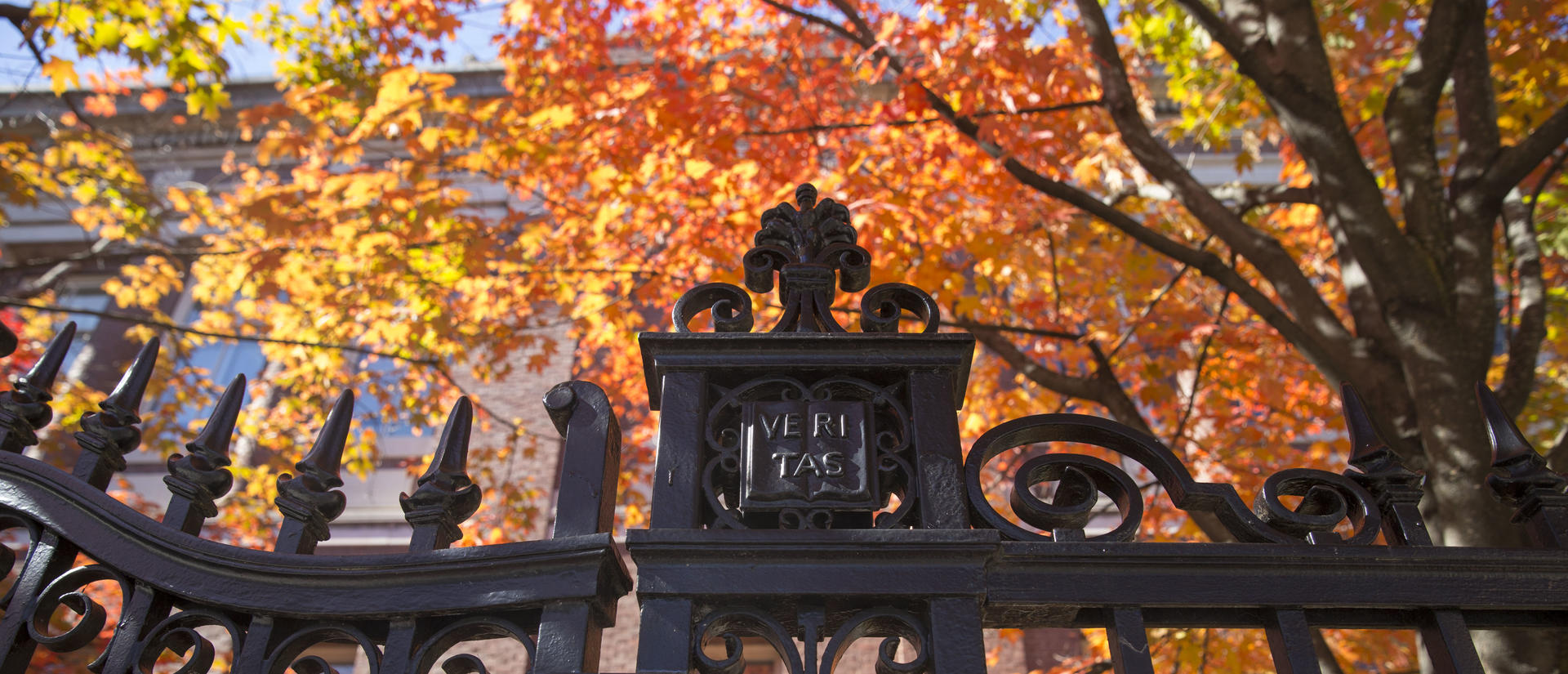 Harvard gate